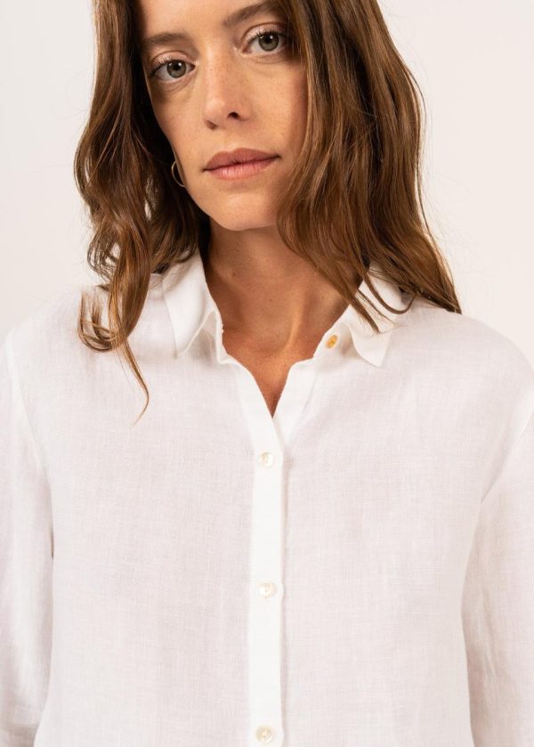 Newvisi.shop1d3ca2f40d 4