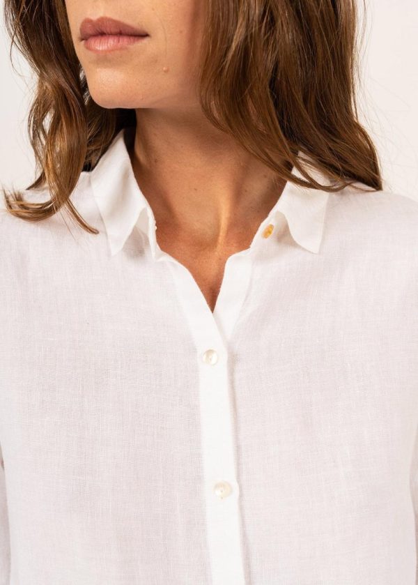 Newvisi.shop1d3ca2f40d 5